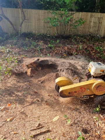 garden fencing Ascot