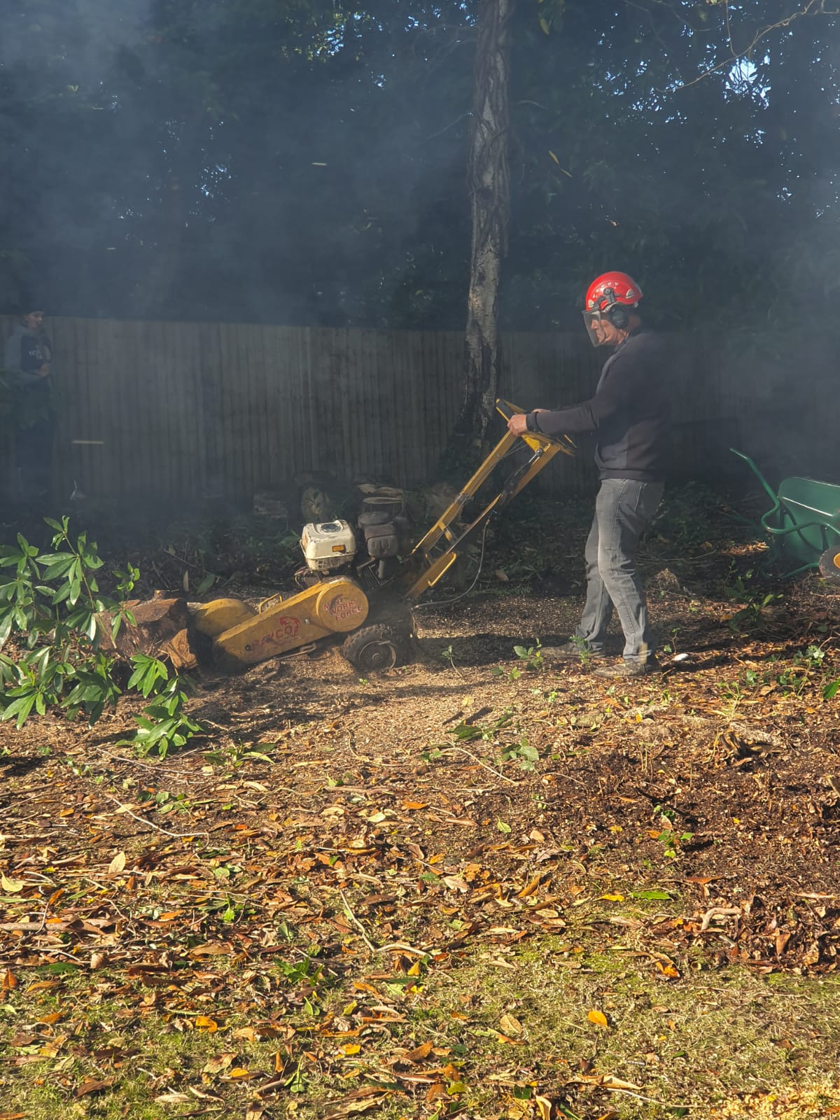 garden fencing Ascot