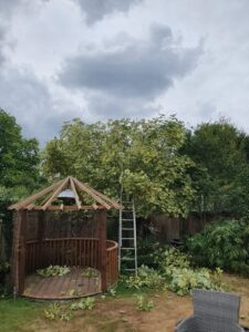 hedge trimming Windlesham