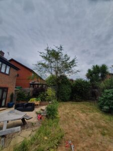 hedge trimming Windlesham