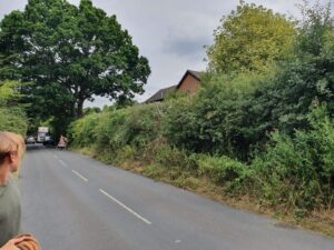 hedge trimming Windlesham