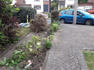 garden fencing Bagshot