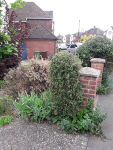 garden fencing Bagshot