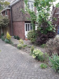garden fencing Bagshot