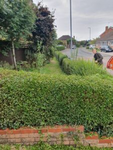 hedge cutting Sandhurst