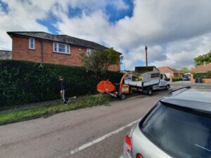 hedge trimming lightwater