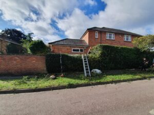hedge trimming lightwater